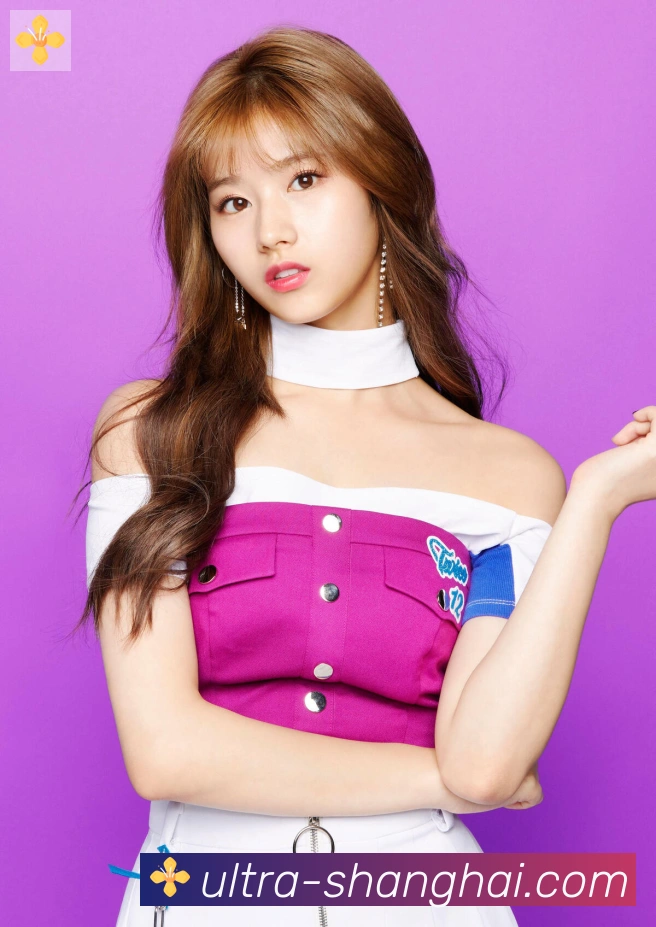 企业概况
